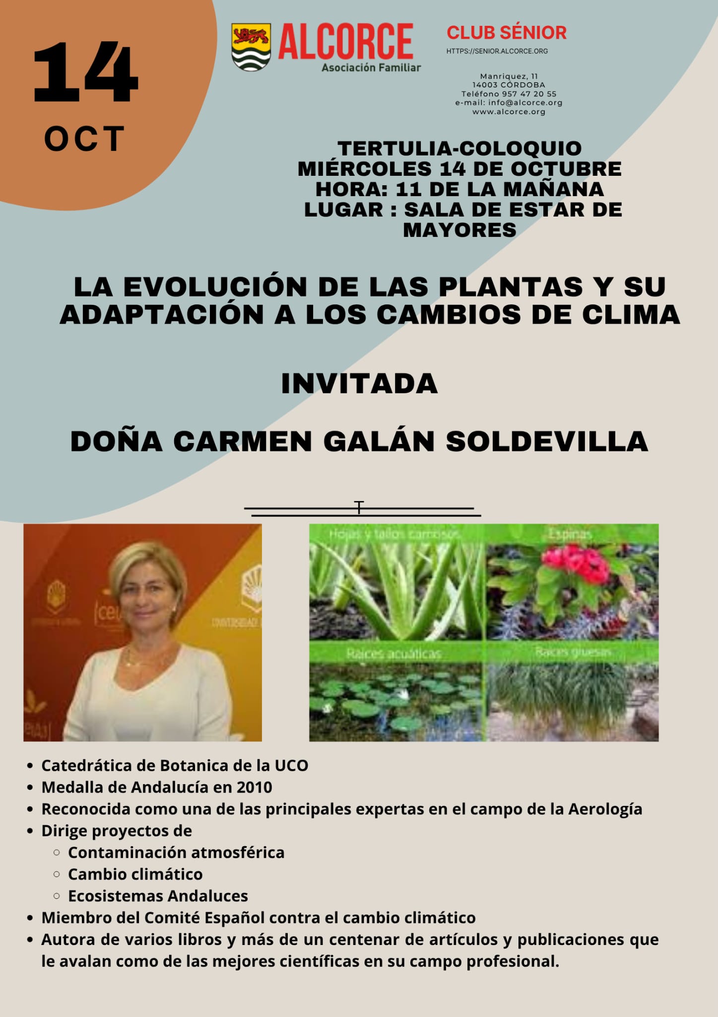 CARTEL 2026-10-14.jpeg